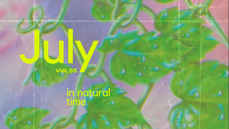 July 2024 Natural Time Report Is IN!